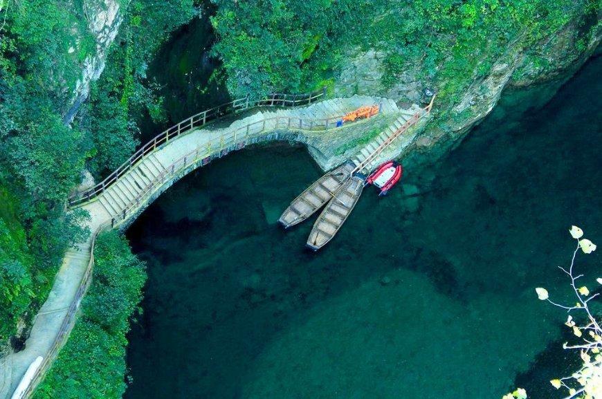 小猫钓鱼正版下载中文版